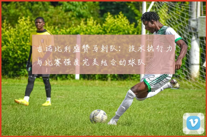 吉诺比利盛赞马刺队：技术执行力与比赛强度完美结合的球队