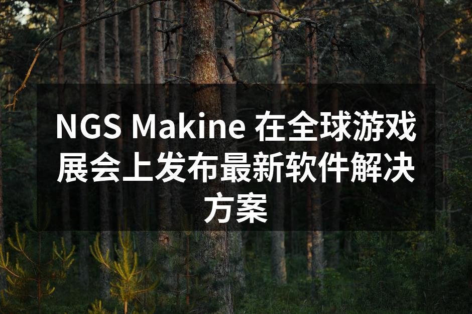 NGS Makine 在全球游戏展会上发
