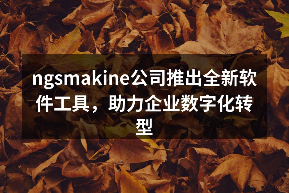 ngsmakine公司推出全新软件工具，