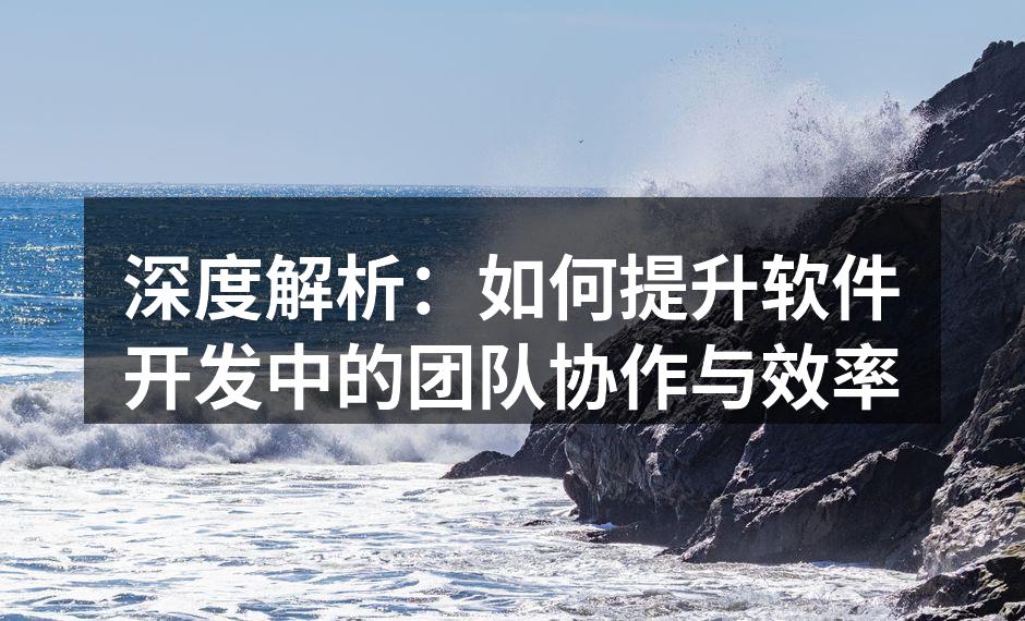 深度解析：如何提升软件开发中的团队协作与效率