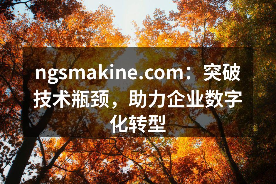 ngsmakine.com：突破技术瓶颈