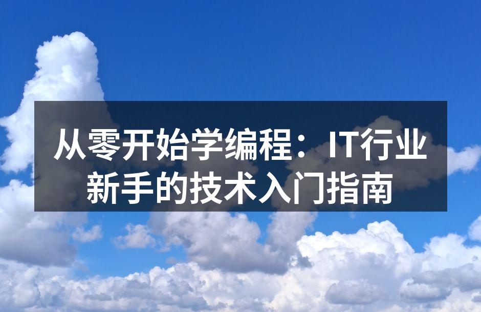 从零开始学编程：IT行业新手的技术入门指